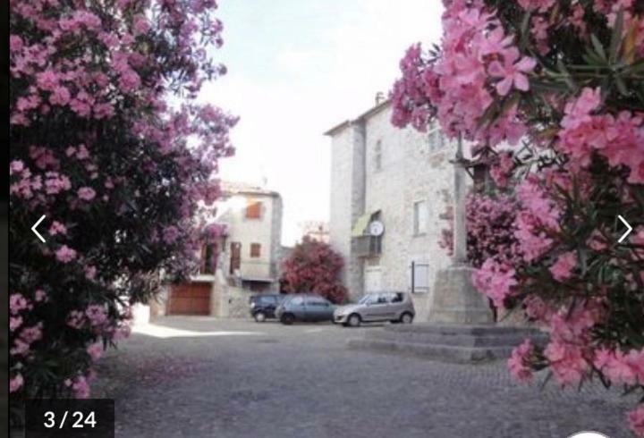 Ruoms Petite Maison 3* Centre-Village Bagian luar foto